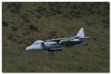 BAE Systems Harrier GR9 ZD468         (7889)