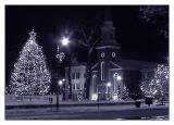 Not A Creature Was Stirring.jpg