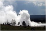 Yellowstone 6