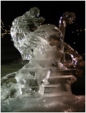 february 1<br>Roar