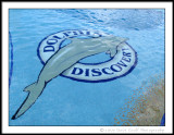 Logo On The Bottom Of The Pool