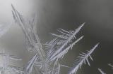 Spears