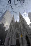 St. Patricks Cathedral