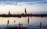 Pond at Meigs Point 2