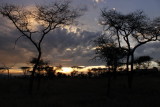 Serengeti sunrise