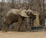 Zoo 09 077.jpg