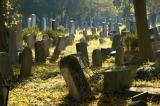 Jewish section of the Central Cementary