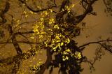 First traces of spring