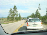 Stuck Behind Idiots Who Cant Read Signs