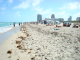 Miami Beach