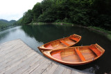 Biogradska gora National Park