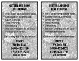 Gutter and Roof Leaf Removal email.jpg