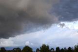 WELL AT LEAST IT LOOKS PROMISING