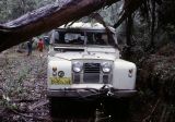MY SWB LANDROVER COULDN'T SCRAPE UNDER THIS FALLEN TREE