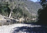 ON THE COX JUST DOWN STREAM FROM JENOLAN CREEK