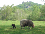 nr Derwent Water, Cumbria