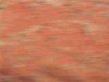 Red Earth from the Ghan, Australia