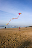 France-Normandy-kite flyer.jpg