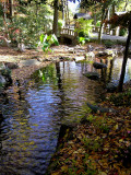 Water & Walkway