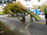 Praying mantis, side view.