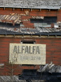 Alfalfa Sign
