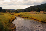 Fall Medow in the Black Hills