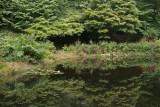 Reflections: Port Meirion