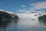 June 23: Aialik Glacier