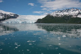 June 23: Aialik Glacier