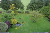 Backyard at The Ayrlington