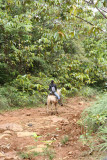 Riding the trail