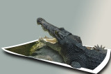 angry crocodile