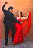 Flamenco Study