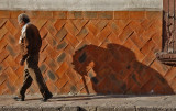 Shadow San Miguel Basketweave Wall