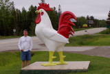 Chicken, Two Harbors Minnesota.jpg