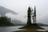 Île de Vancouver et forêts humides - Vancouver Island and its Rain Forests