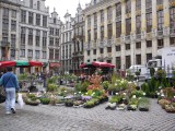 Market Flowers
