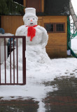 Neighbors Snowman