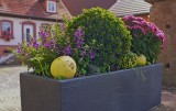 Fall Planter