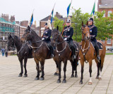 Pokice horses (Willow on the right)