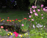 Dinner  at Noel & Caroles in Burscough the garden