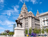 The Liver Building