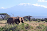 Amboseli National Park