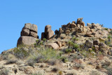 Joshua Tree National Park