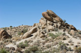 Joshua Tree National Park