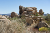 Joshua Tree National Park