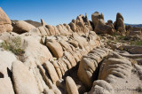 Joshua Tree National Park