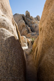 Joshua Tree National Park