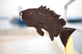 Fish With a Nose Ring