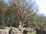 Lime Kiln park, Bill under a Pacific Madrone tree